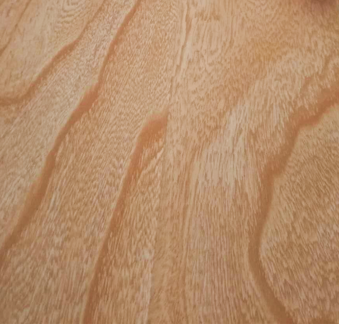 1546161542143980.jpg 33.jpg