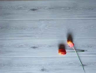 1689125138148375.jpg thumb_20191203173217_456.jpg